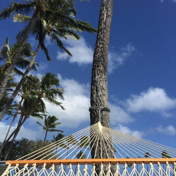 Meet your Posher, Duke - Picture 1 of 1